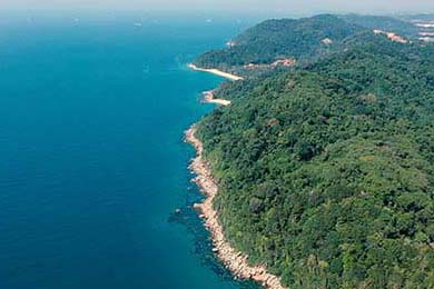 Dash: Geometry Dash, Doordash, & Beyond: The Data Behind "Dash