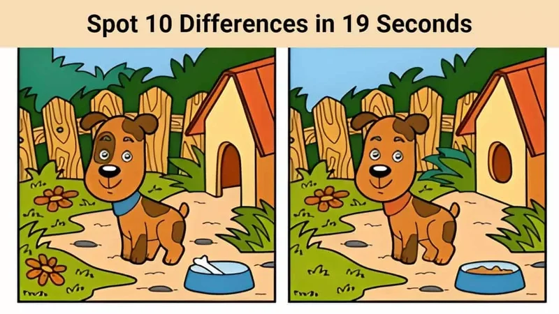 SPOT Stock: What Happened?